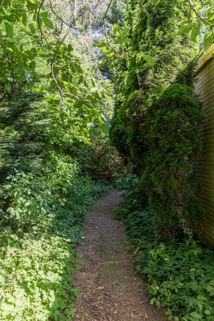 Foto 20 van Keltenoord 50