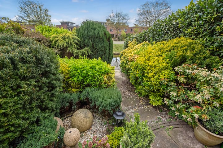 Foto 14 van Bieseiland 11