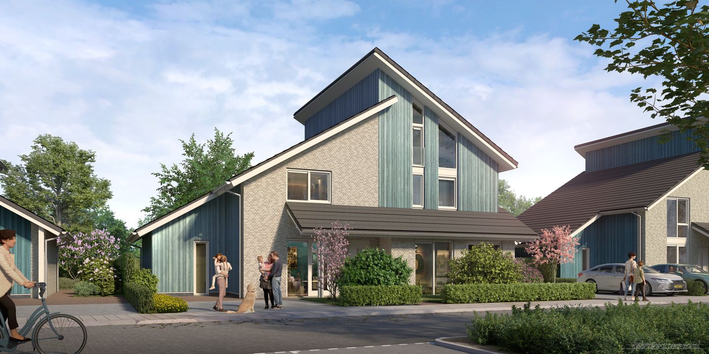 Photo 1 of Purperorchidee 9