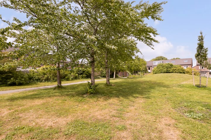 Foto 54 van Wolkammerstraat 32