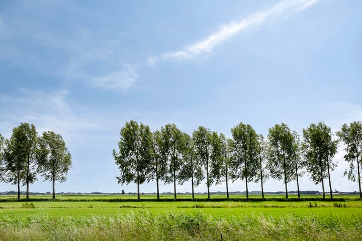 Foto 31 van Thuishaven 15