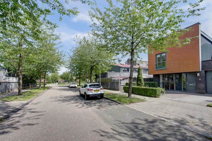 Foto 2 van Straatgras 10