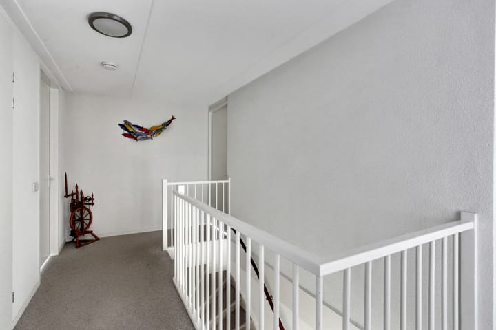 Foto 24 van Straatgras 10