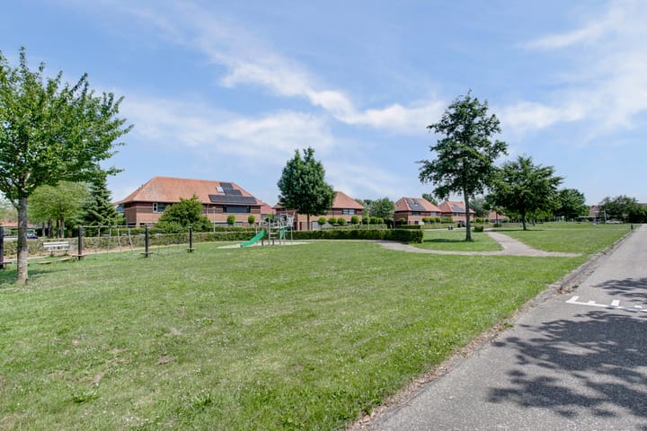 Foto 37 van Straatgras 10