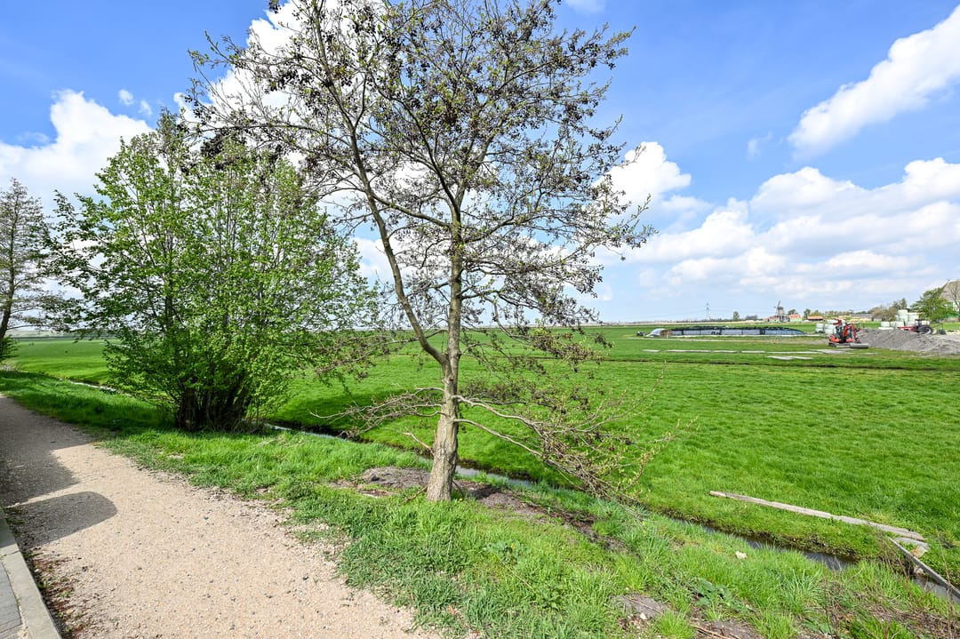 Foto 2 van Lepelaarstraat 18