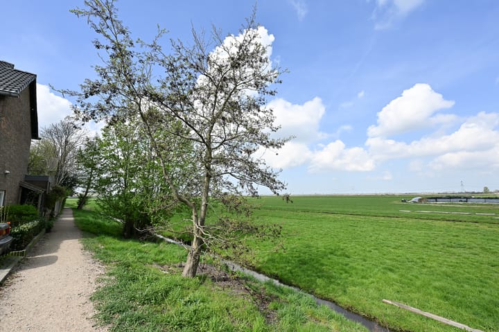 Photo 35 of Lepelaarstraat 18