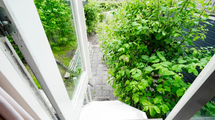 Foto 41 van Helper Westsingel 45