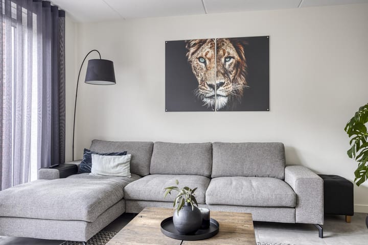 Photo 7 of Tragel 30