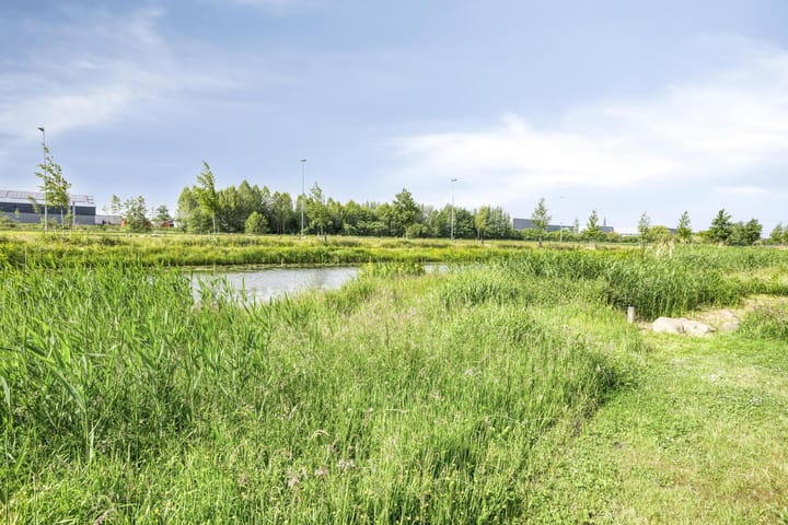 Photo 30 of Tragel 30