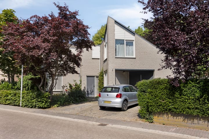 Foto 3 van Fonteinkruid 208