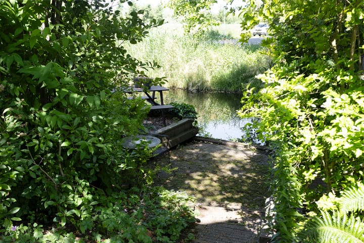 Foto 51 van Fonteinkruid 208