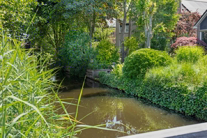 Foto 52 van Fonteinkruid 208