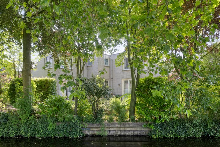 Foto 53 van Fonteinkruid 208