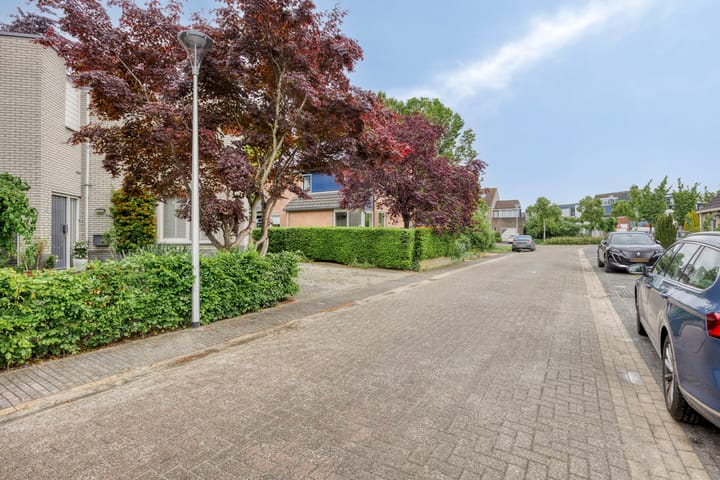 Foto 56 van Fonteinkruid 208