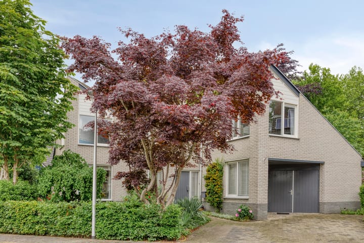 Foto 57 van Fonteinkruid 208