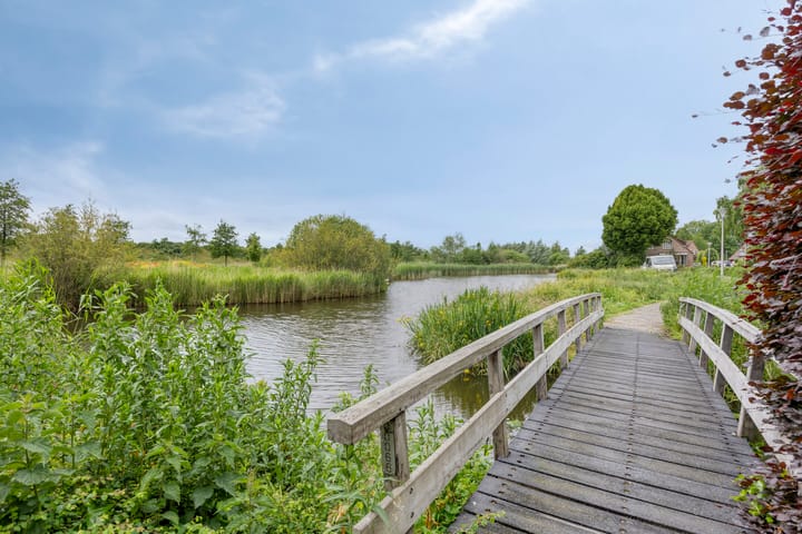 Foto 58 van Fonteinkruid 208