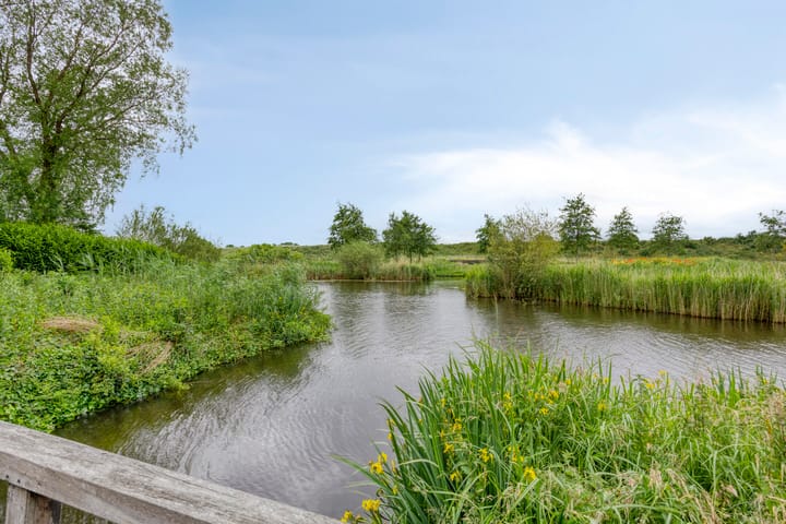 Foto 60 van Fonteinkruid 208