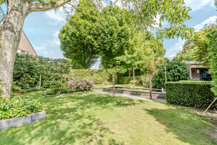 Photo 46 of Ecliptica 37