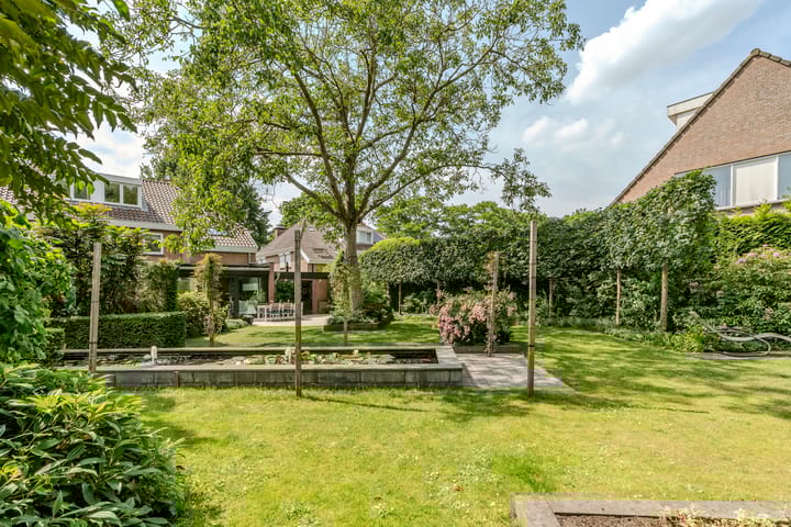 Photo 50 of Ecliptica 37