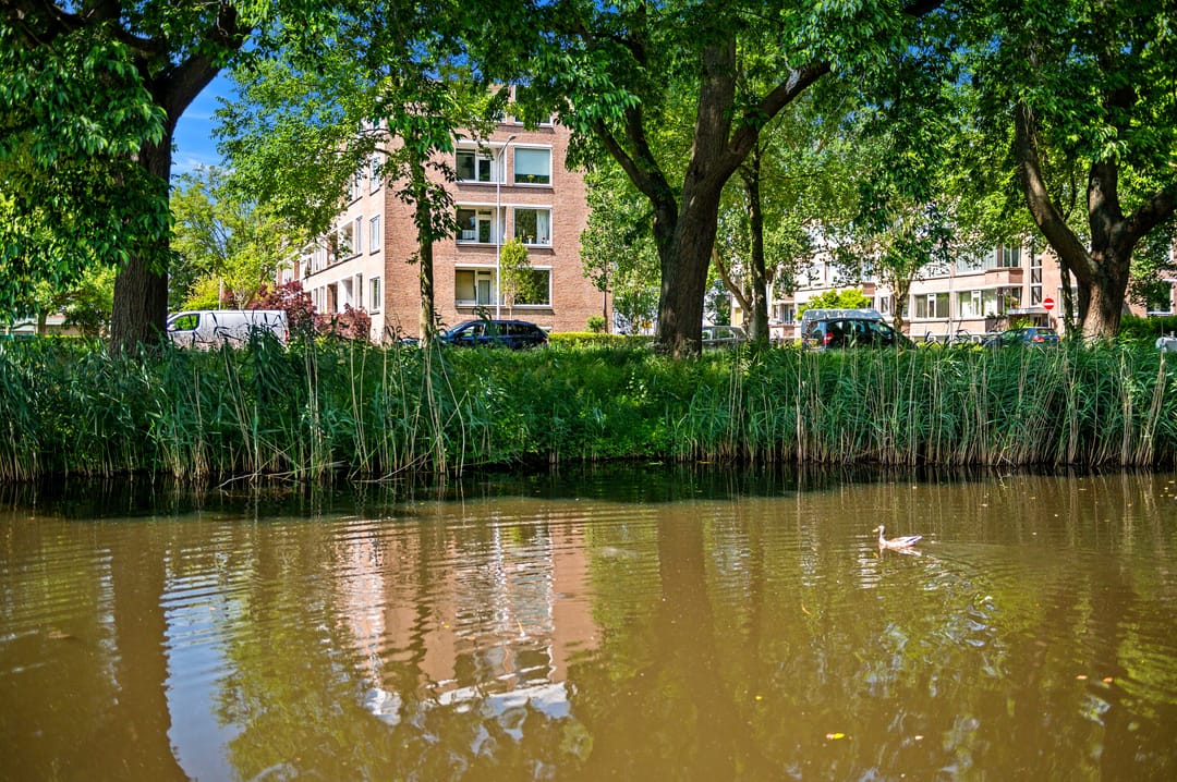 Foto 26 van Brinnolaan 5