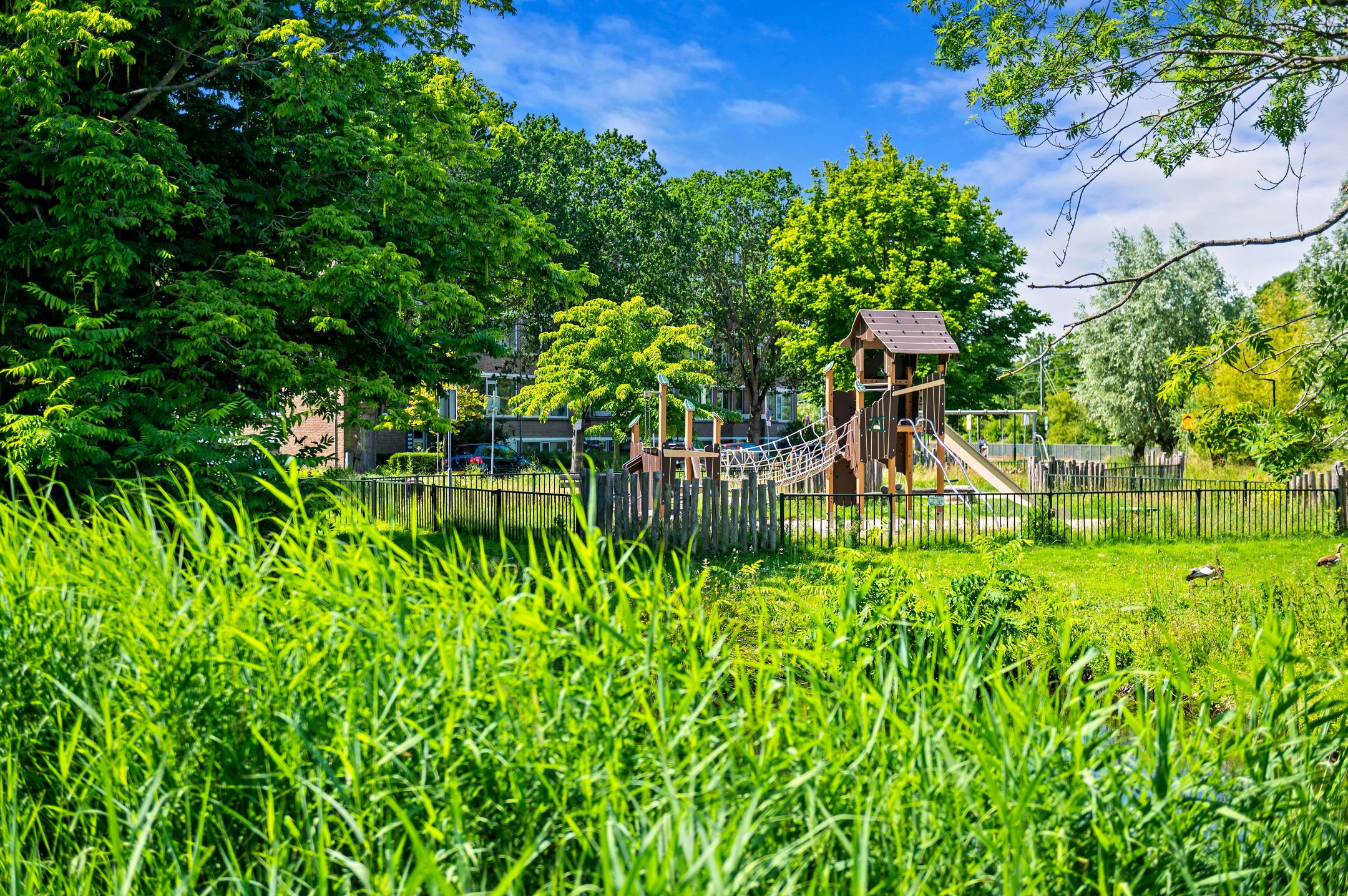 Foto 27 van Brinnolaan 5