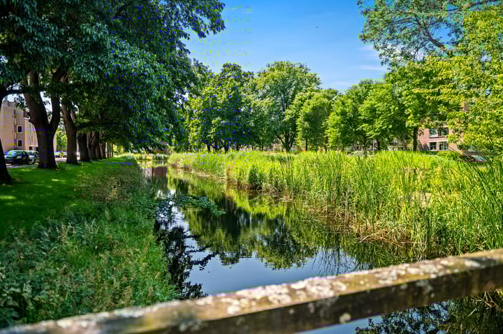 Foto 29 van Brinnolaan 5