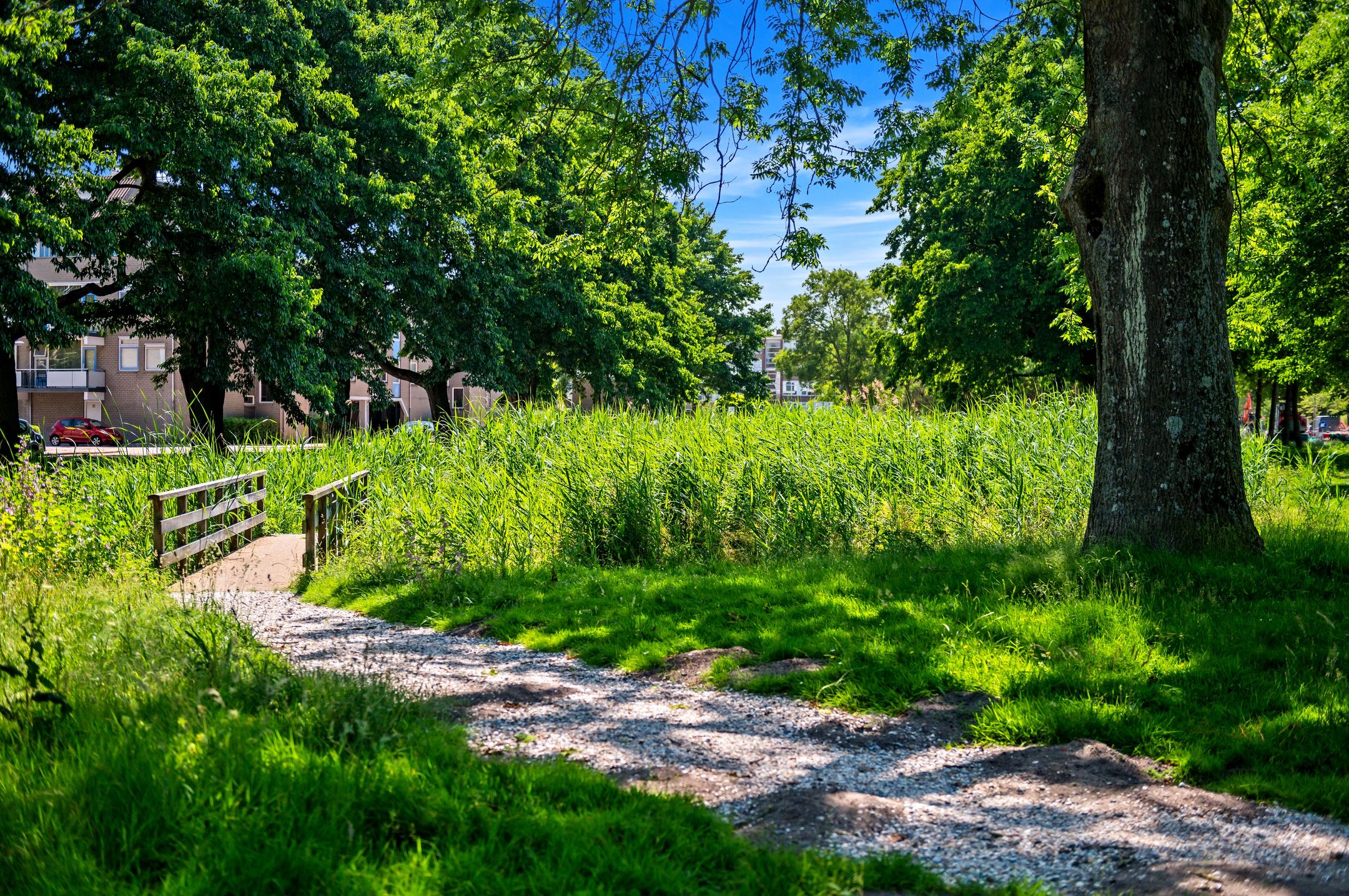 Foto 30 van Brinnolaan 5