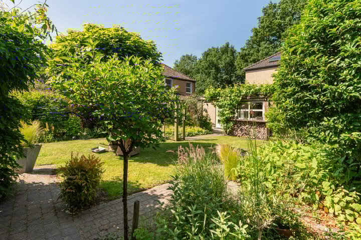 Foto 2 van Kieveen 11