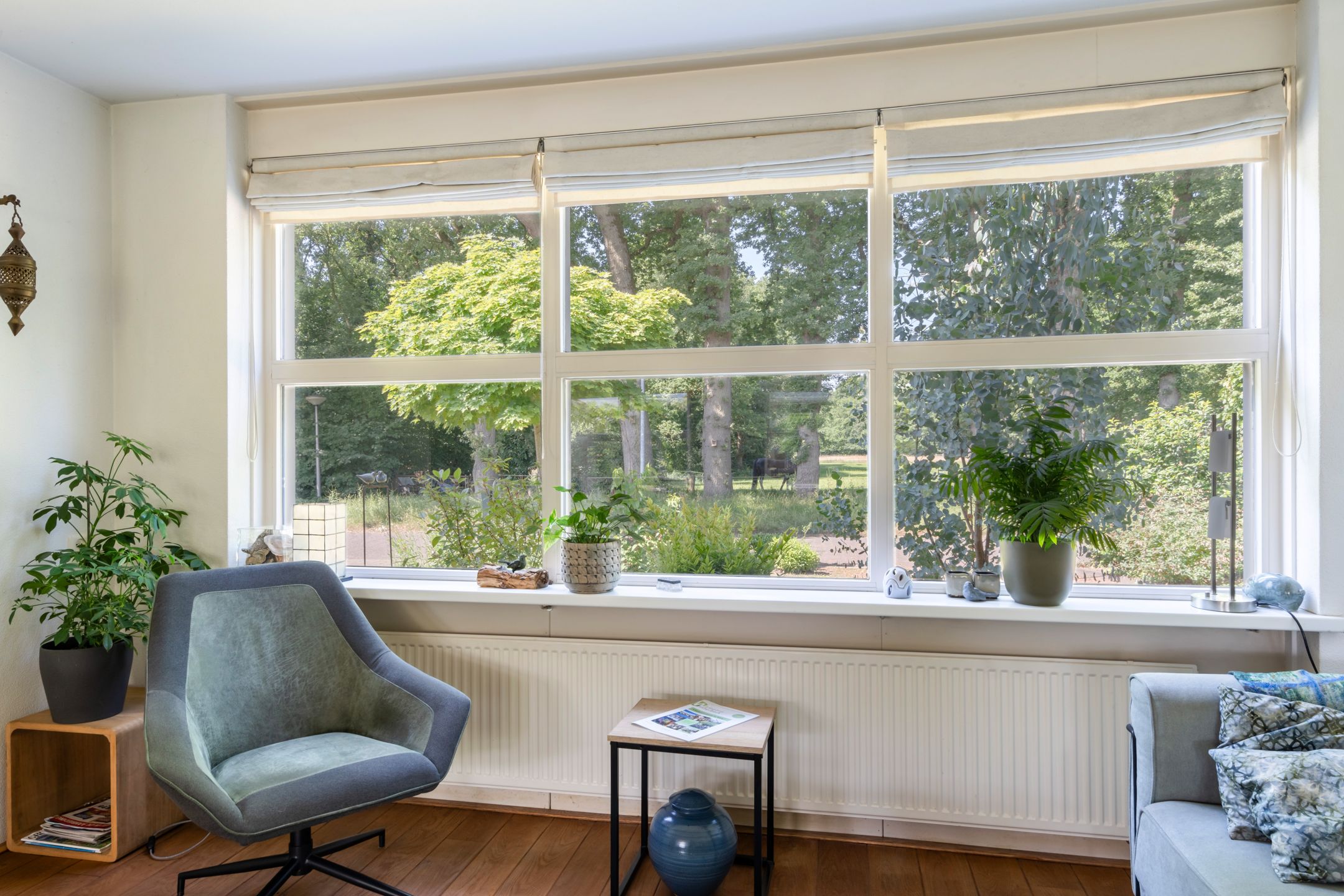 Photo 6 of Kieveen 11