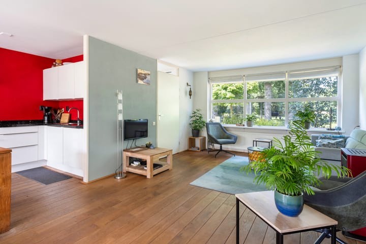 Foto 9 van Kieveen 11