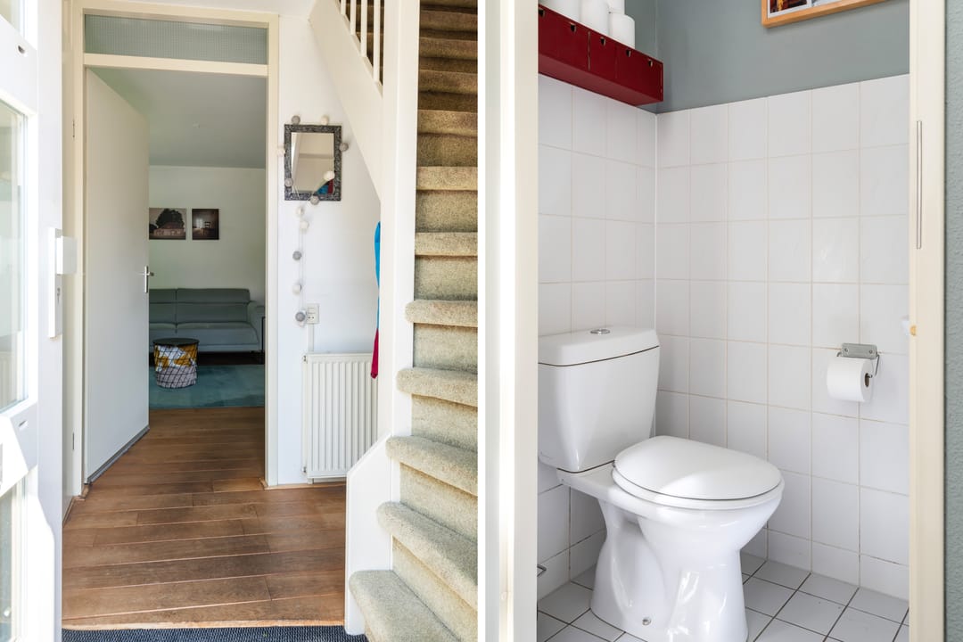 Photo 16 of Kieveen 11