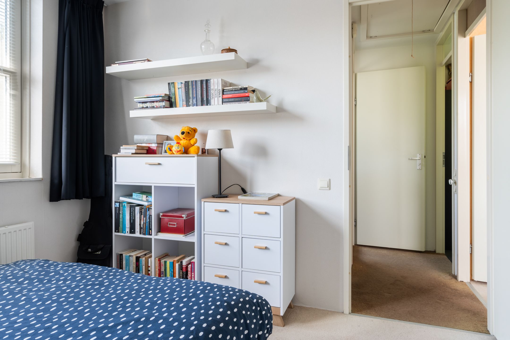 Photo 18 of Kieveen 11