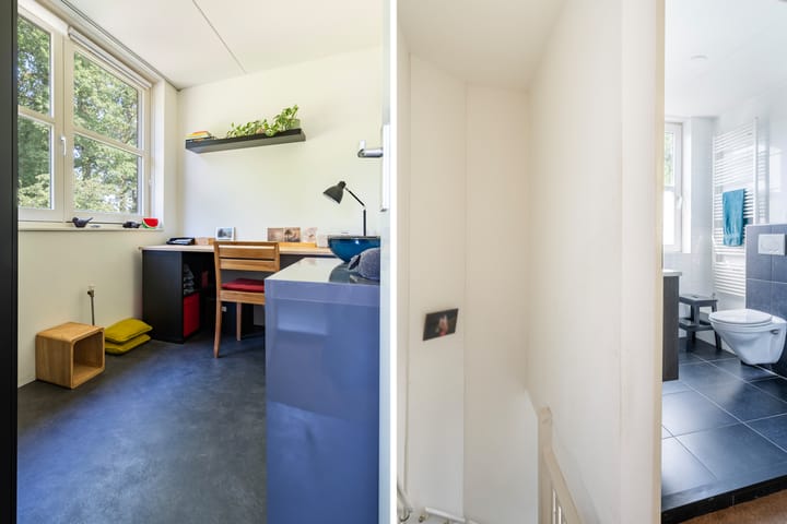 Foto 21 van Kieveen 11