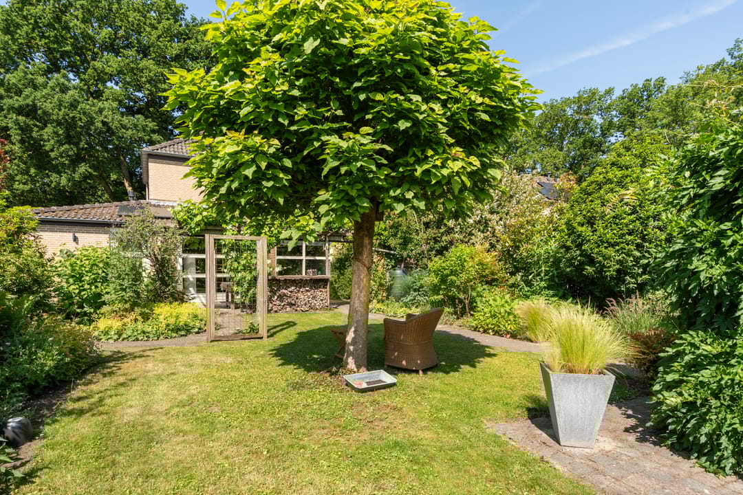 Photo 28 of Kieveen 11