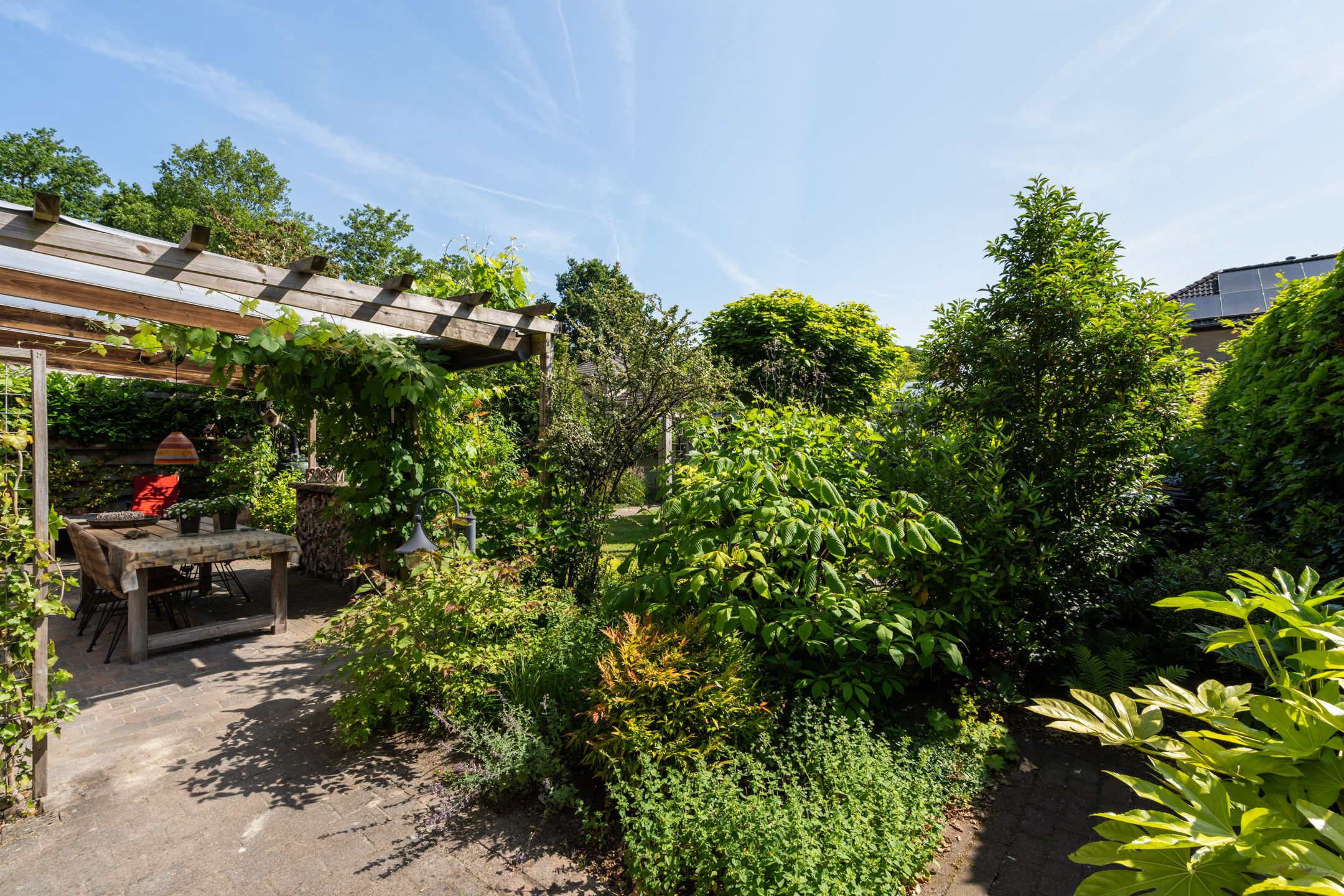 Photo 30 of Kieveen 11