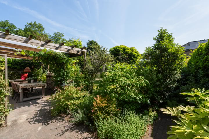 Foto 30 van Kieveen 11