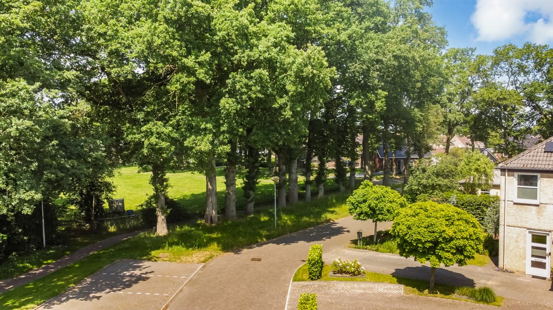 Photo 38 of Kieveen 11