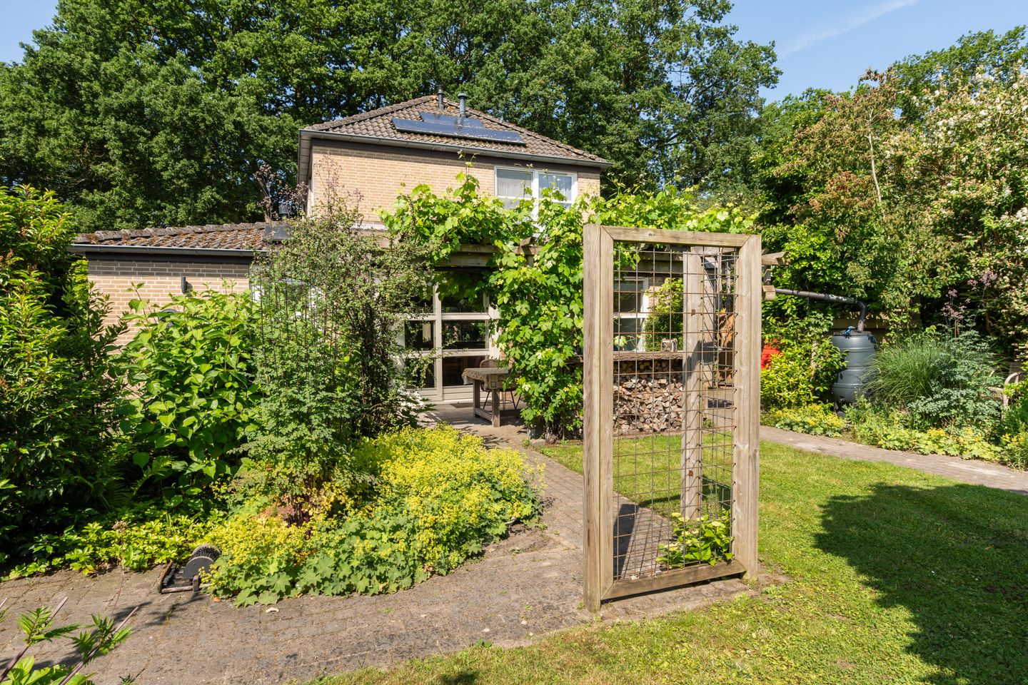 Photo 29 of Kieveen 11