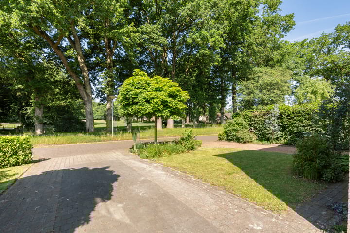 Foto 41 van Kieveen 11