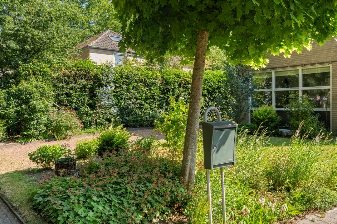 Photo 43 of Kieveen 11