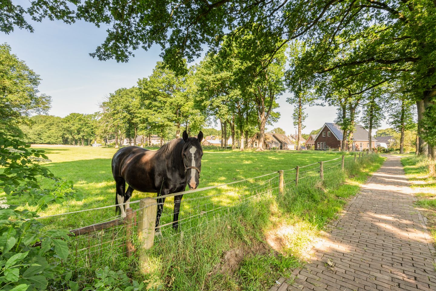 Photo 44 of Kieveen 11