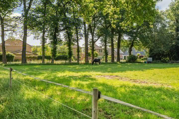 Foto 40 van Kieveen 11