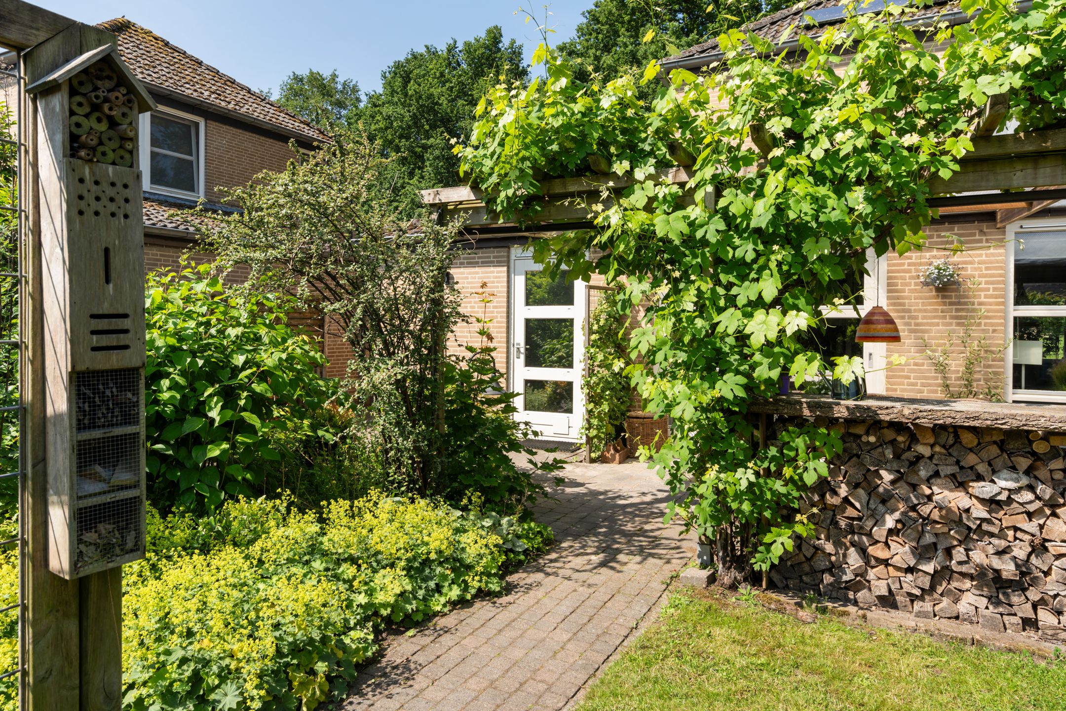 Photo 36 of Kieveen 11