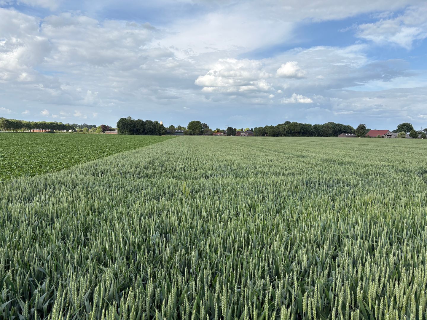 View photo 5 of Beversweg