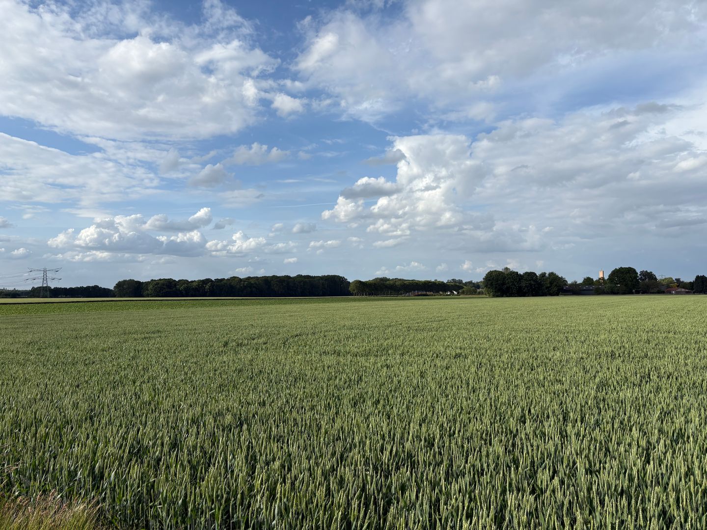 View photo 4 of Beversweg
