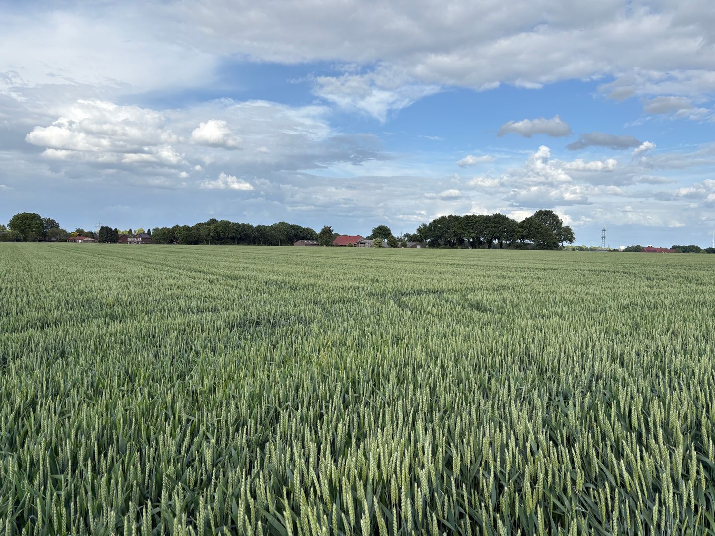 View photo 2 of Beversweg