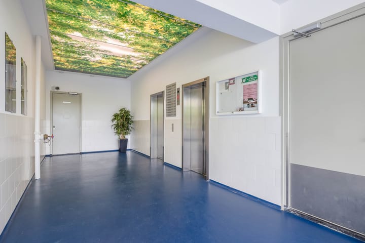 Photo 8 of Buizerdhof 147