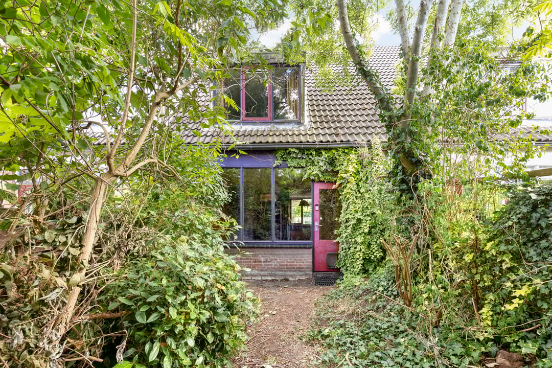 Foto 2 van Rietgors 154