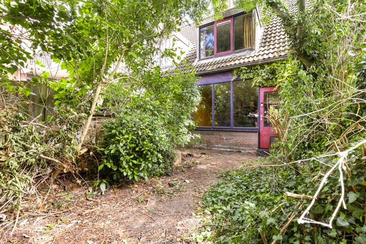 Foto 25 van Rietgors 154