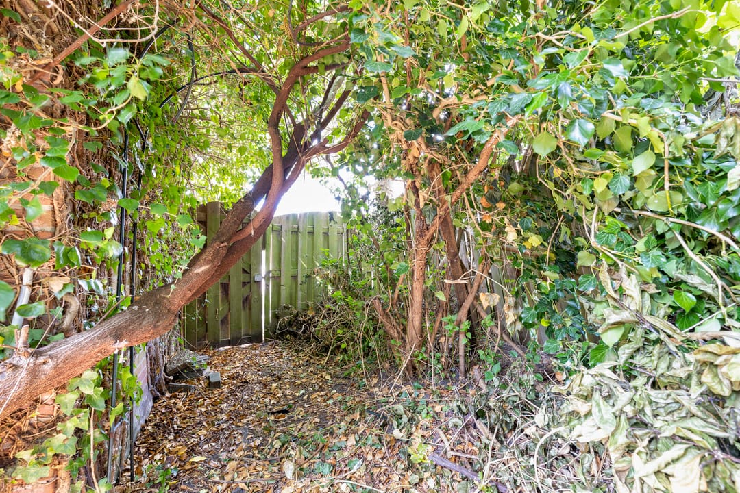 Foto 26 van Rietgors 154